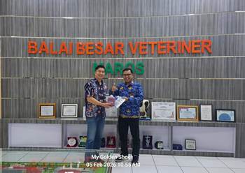 ASOHI SULSEL AUDIENSI KE BBVET MAROS, DORONG KEMANDIRIAN PETERNAK DALAM PENYEDIAAN OBAT HEWAN